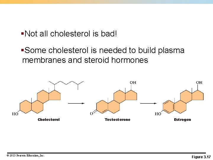 §Not all cholesterol is bad! §Some cholesterol is needed to build plasma membranes and