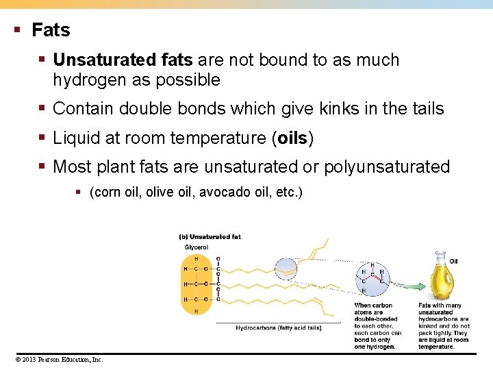 § Fats § Unsaturated fats are not bound to as much hydrogen as possible