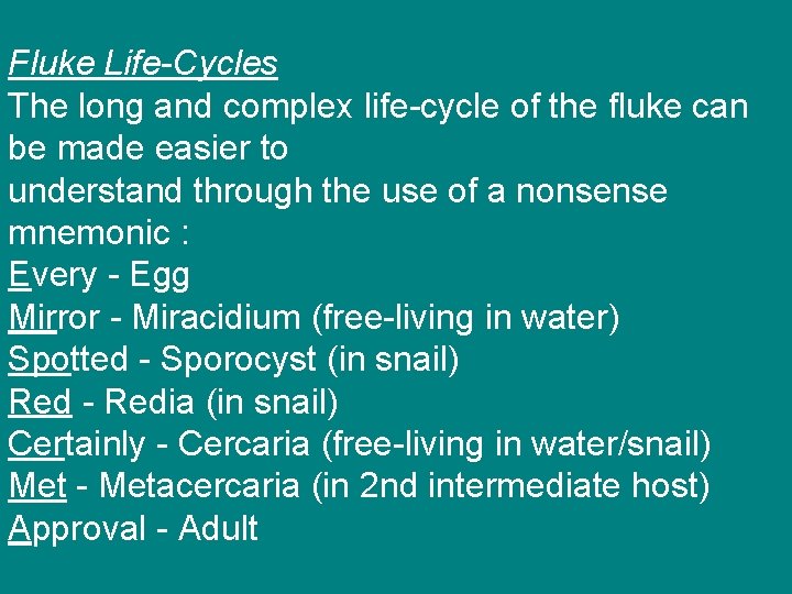 Fluke Life-Cycles The long and complex life-cycle of the fluke can be made easier