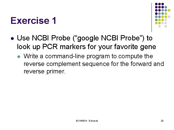 Exercise 1 l Use NCBI Probe (“google NCBI Probe”) to look up PCR markers