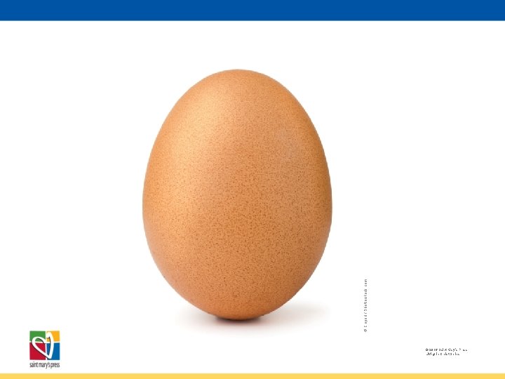 © Coprid / Shutterstock. com © 2016 Saint Mary’s Press Living in Christ Series