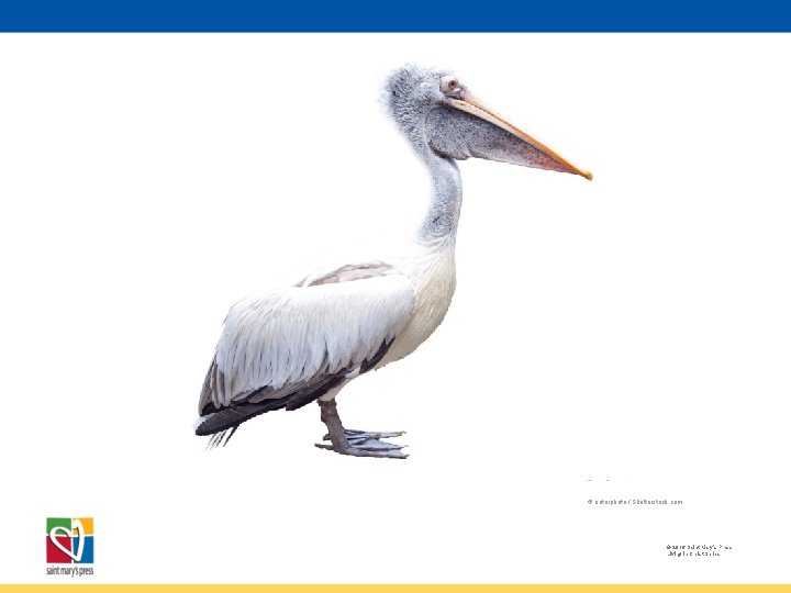 © enterphoto / Shutterstock. com © 2016 Saint Mary’s Press Living in Christ Series