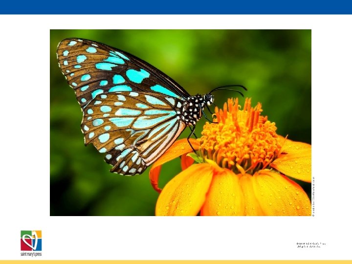 © anekoho / Shutterstock. com © 2016 Saint Mary’s Press Living in Christ Series