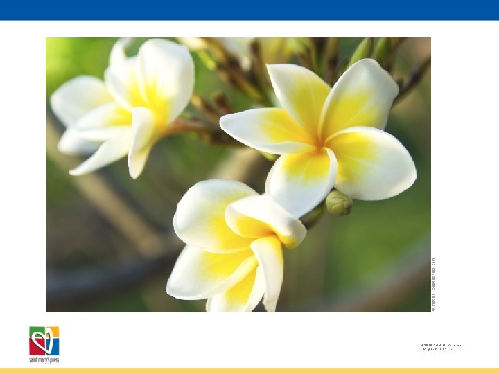 © metrue / Shutterstock. com © 2016 Saint Mary’s Press Living in Christ Series