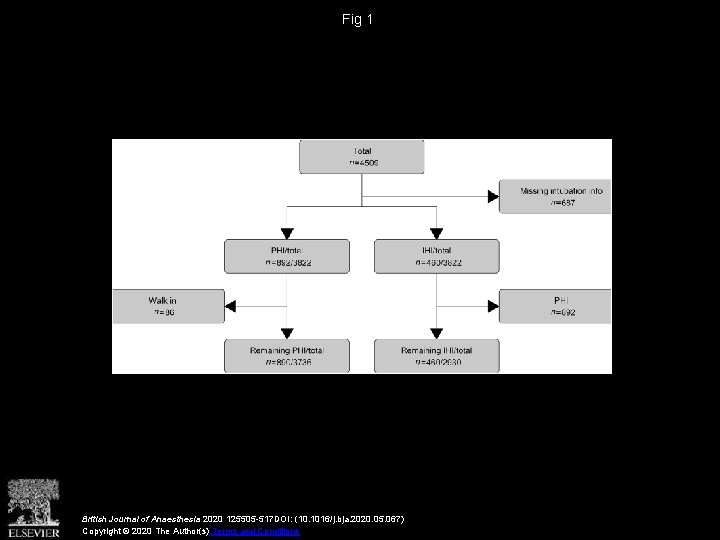 Fig 1 British Journal of Anaesthesia 2020 125505 -517 DOI: (10. 1016/j. bja. 2020.