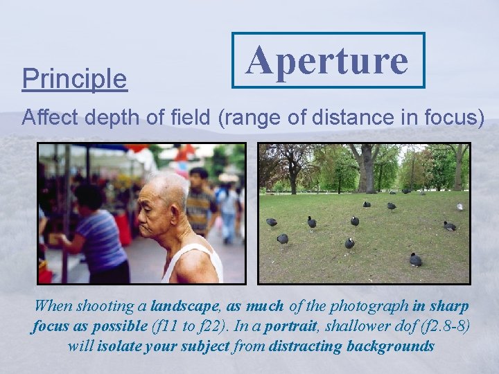 Principle Aperture Affect depth of field (range of distance in focus) When shooting a