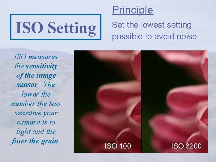 Principle ISO Setting ISO measures the sensitivity of the image sensor. The lower the