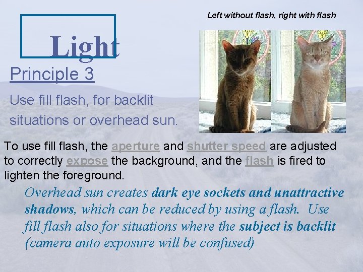 Left without flash, right with flash Light Principle 3 Use fill flash, for backlit