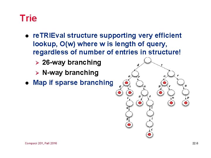Trie l l re. TRIEval structure supporting very efficient lookup, O(w) where w is