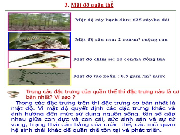 3. Mật độ quần thể - KN: Mật độ quần thể là số lượng