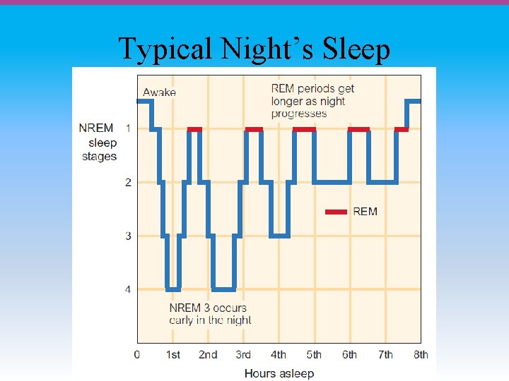 Typical Night’s Sleep 