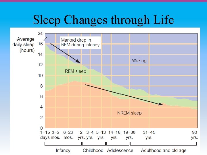Sleep Changes through Life 