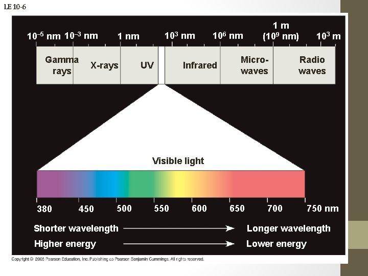Intro to the Vernier Colorimeter Lab Vernier is