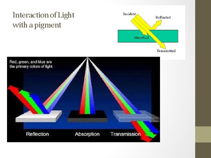 Intro to the Vernier Colorimeter Lab Vernier is