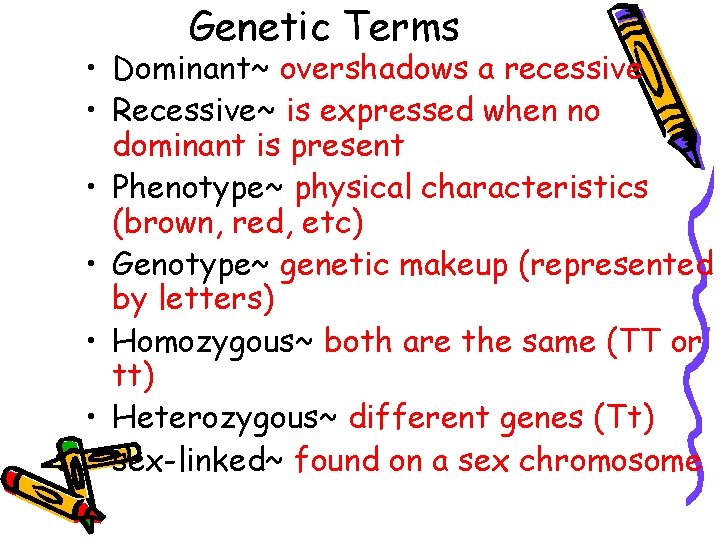 Genetic Terms • Dominant~ overshadows a recessive • Recessive~ is expressed when no dominant