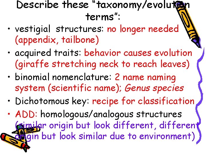 Describe these “taxonomy/evolution terms”: • vestigial structures: no longer needed (appendix, tailbone) • acquired