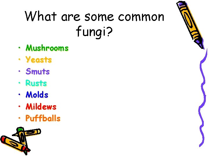 What are some common fungi? • • Mushrooms Yeasts Smuts Rusts Molds Mildews Puffballs