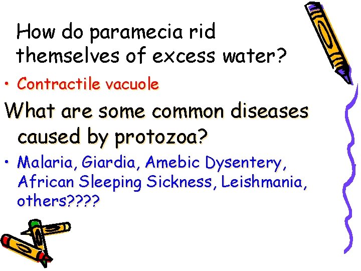How do paramecia rid themselves of excess water? • Contractile vacuole What are some
