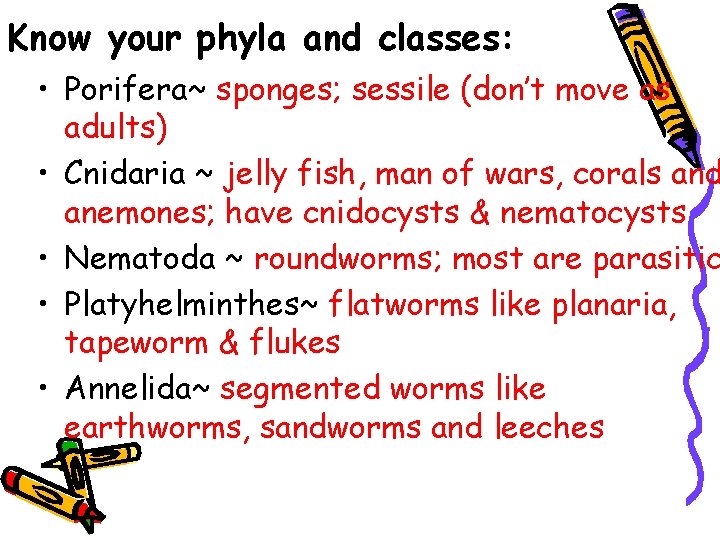 Know your phyla and classes: • Porifera~ sponges; sessile (don’t move as adults) •