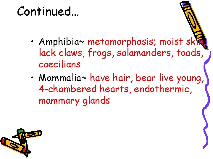Continued… • Amphibia~ metamorphasis; moist skin, lack claws, frogs, salamanders, toads, caecilians • Mammalia~