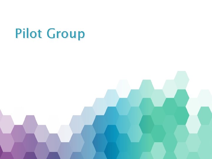 Pilot Group 