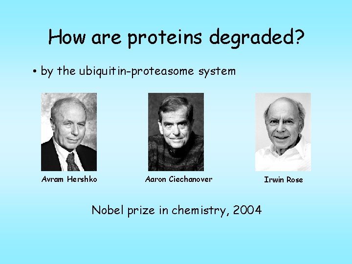 How are proteins degraded? • by the ubiquitin-proteasome system Avram Hershko Aaron Ciechanover Nobel