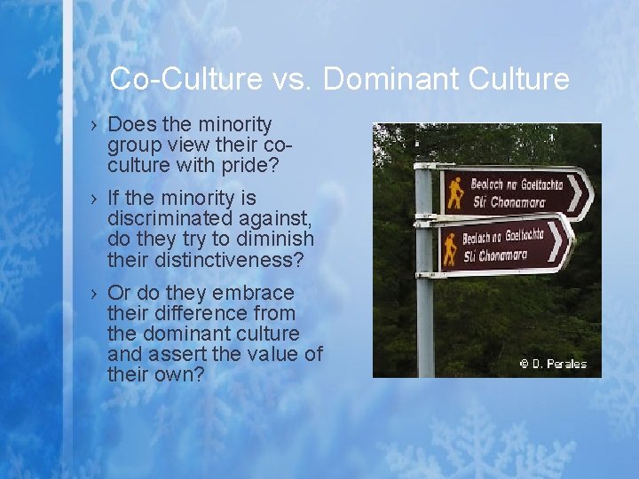 Co-Culture vs. Dominant Culture › Does the minority group view their coculture with pride?