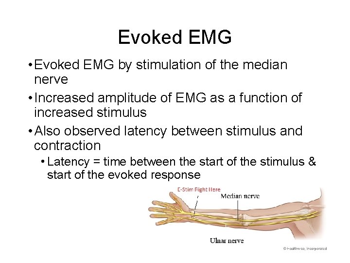 Evoked EMG • Evoked EMG by stimulation of the median nerve • Increased amplitude