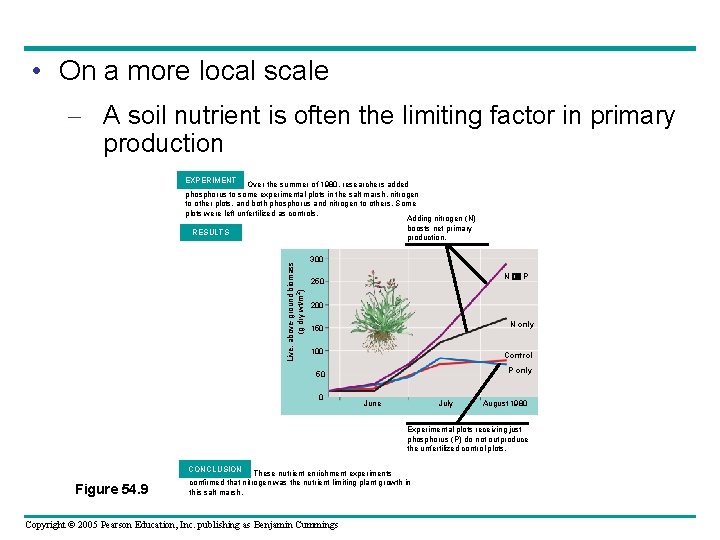  • On a more local scale – A soil nutrient is often the