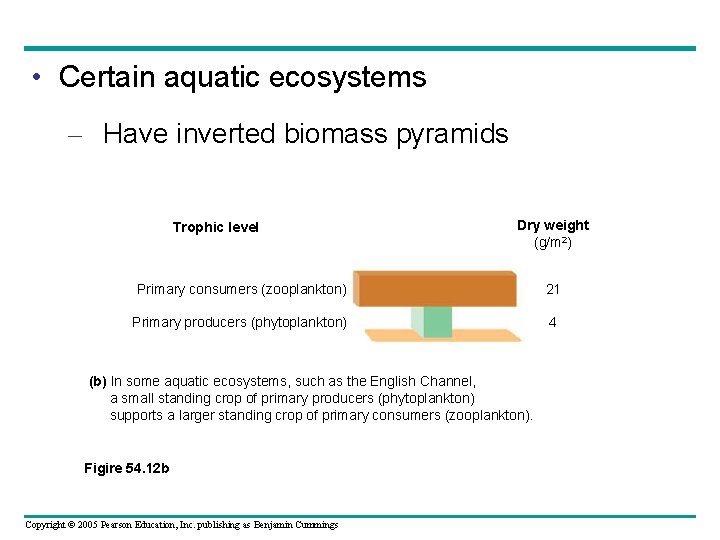  • Certain aquatic ecosystems – Have inverted biomass pyramids Trophic level Dry weight