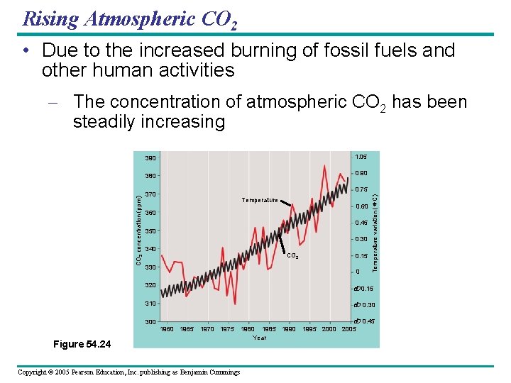 Rising Atmospheric CO 2 • Due to the increased burning of fossil fuels and