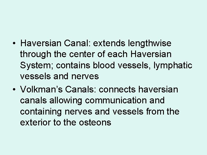  • Haversian Canal: extends lengthwise through the center of each Haversian System; contains