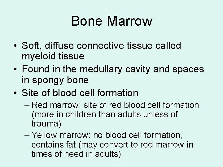 Bone Marrow • Soft, diffuse connective tissue called myeloid tissue • Found in the