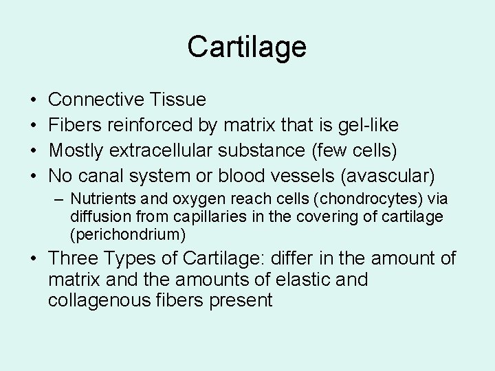Cartilage • • Connective Tissue Fibers reinforced by matrix that is gel-like Mostly extracellular
