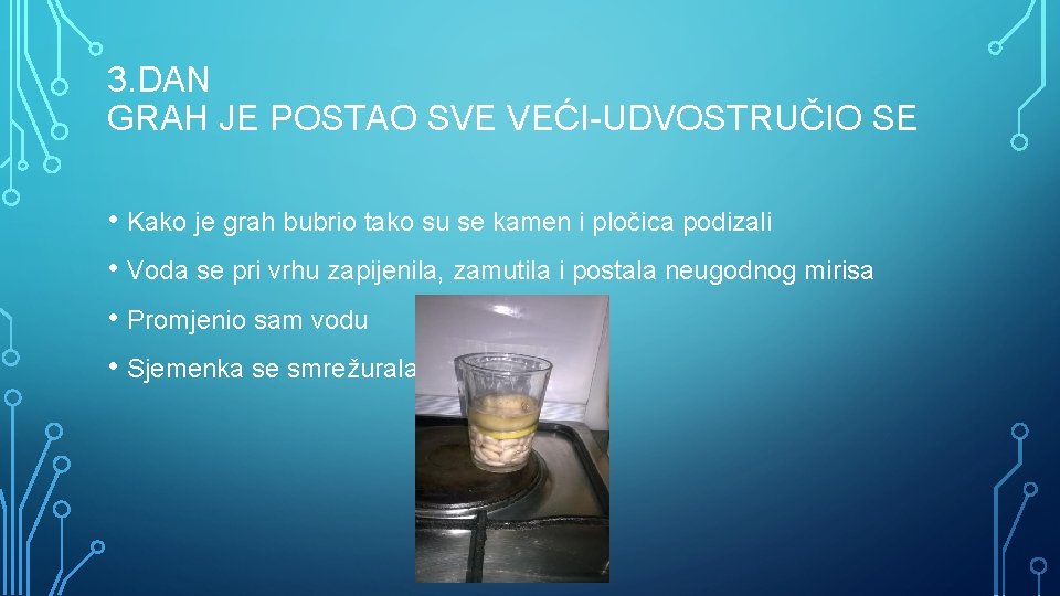 3. DAN GRAH JE POSTAO SVE VEĆI-UDVOSTRUČIO SE • Kako je grah bubrio tako