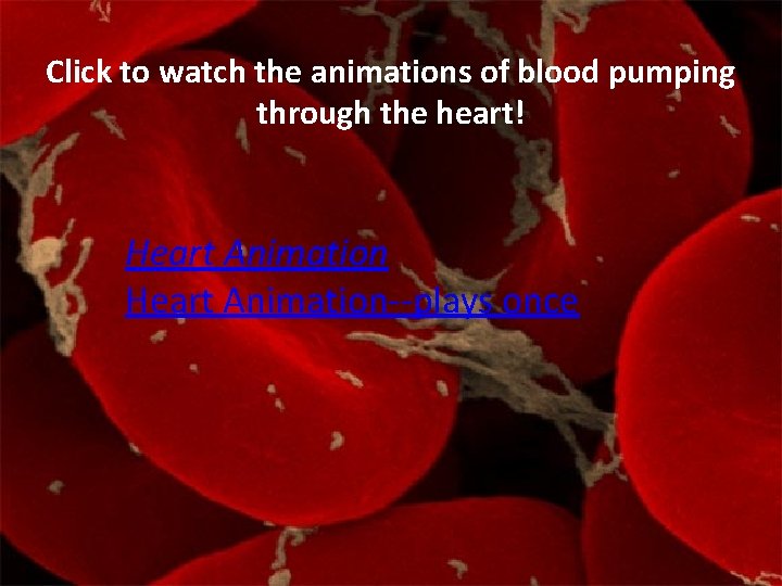 Click to watch the animations of blood pumping through the heart! Heart Animation--plays once