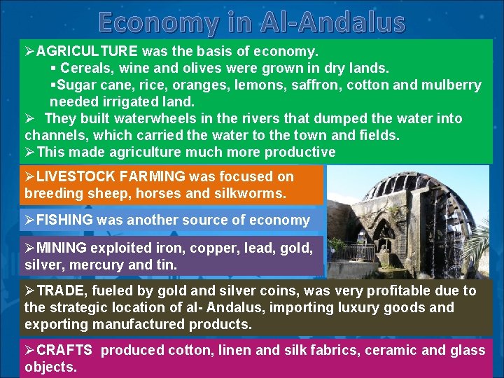 Economy in Al-Andalus ØAGRICULTURE was the basis of economy. § Cereals, wine and olives