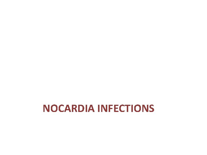 NOCARDIA INFECTIONS 