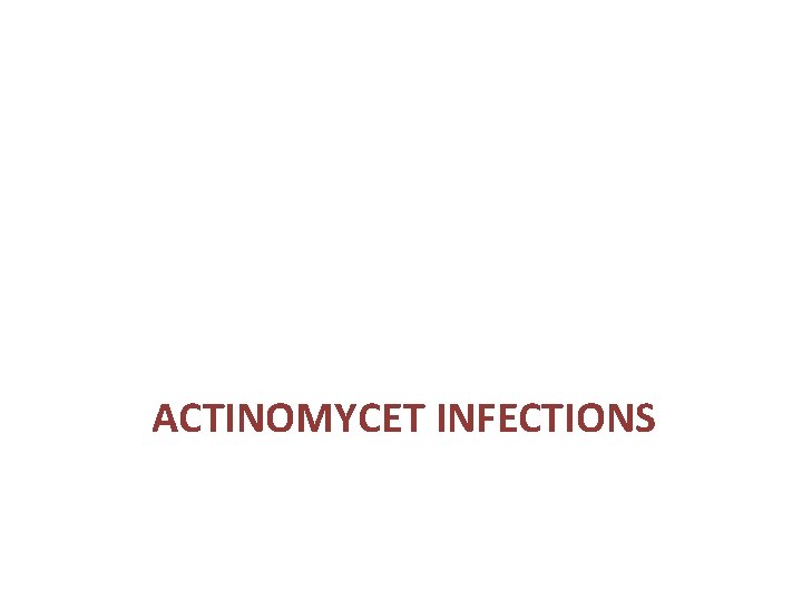 ACTINOMYCET INFECTIONS 