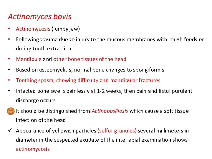 Actinomyces bovis • Actinomycosis (lumpy jaw) • Following trauma due to injury to the