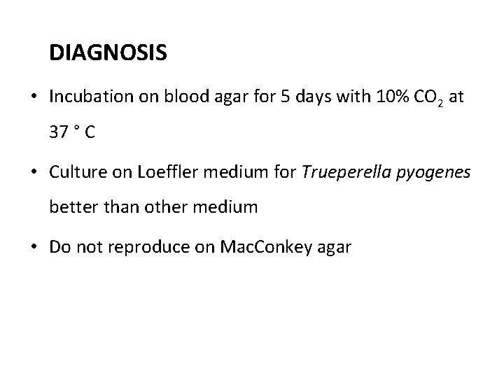 DIAGNOSIS • Incubation on blood agar for 5 days with 10% CO 2 at