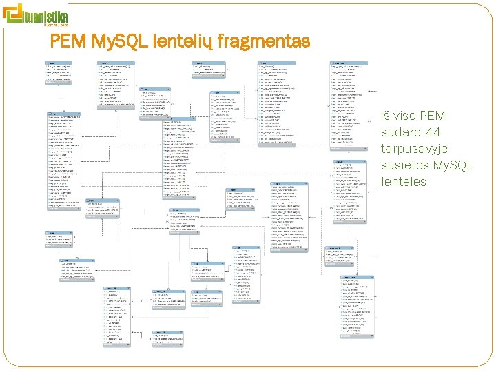 PEM My. SQL lentelių fragmentas Iš viso PEM sudaro 44 tarpusavyje susietos My. SQL