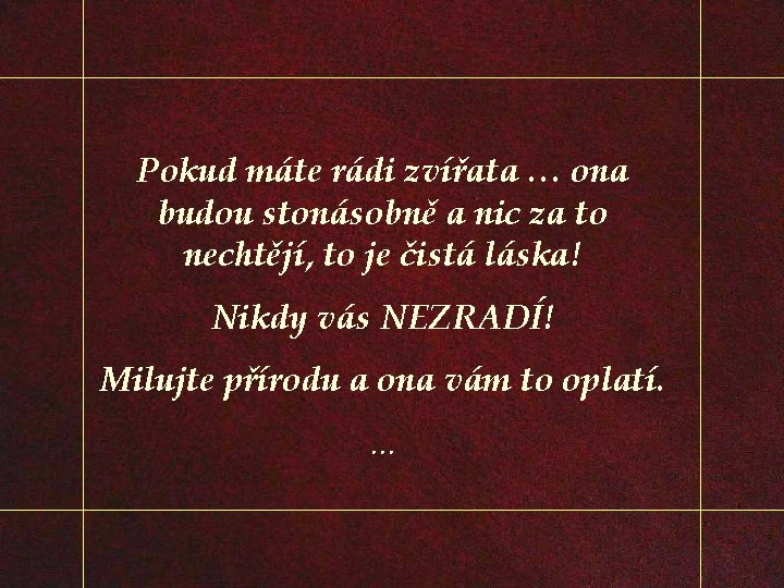 Pokud máte rádi zvířata … ona budou stonásobně a nic za to nechtějí, to