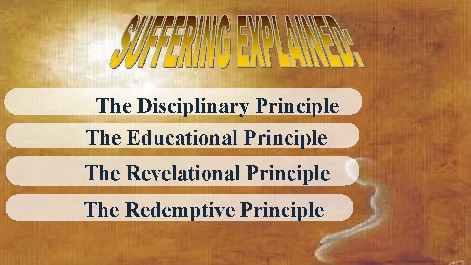 The Disciplinary Principle The Educational Principle The Revelational Principle The Redemptive Principle 