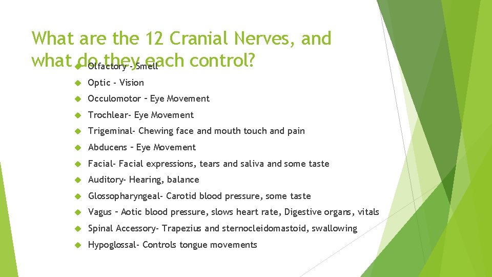 What are the 12 Cranial Nerves, and what do they each control? Olfactory -