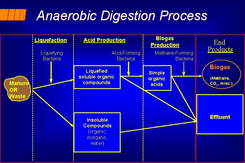 Anaerobic Digestion Process Liquefaction Liquefying Bacteria Manure OR Waste Acid Production Acid-Forming Bacteria Liquefied