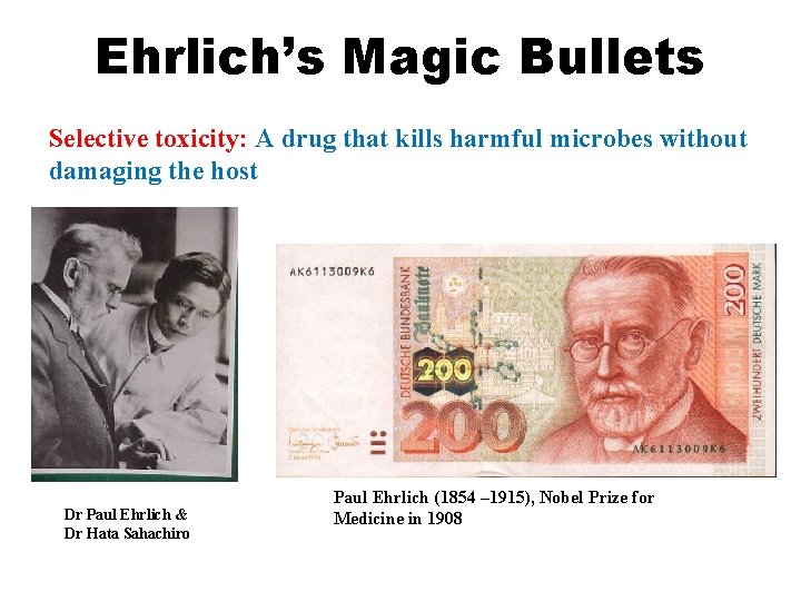 Ehrlich’s Magic Bullets Selective toxicity: A drug that kills harmful microbes without damaging the