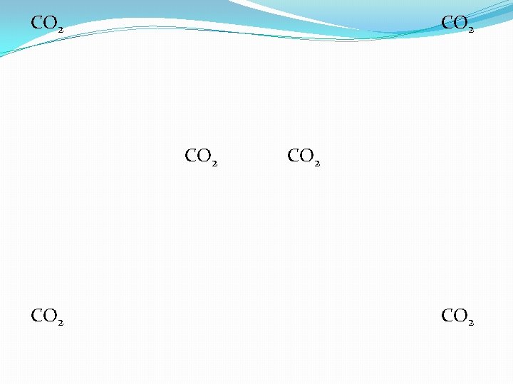 CO 2 CO 2 