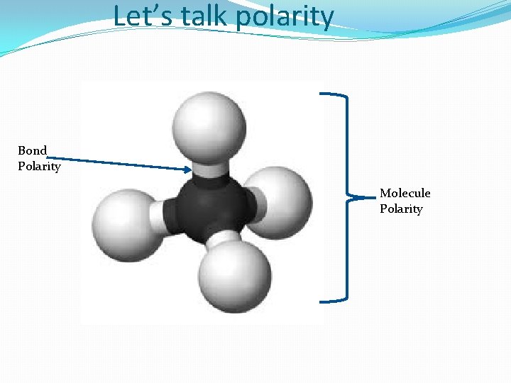 Let’s talk polarity Bond Polarity Molecule Polarity 