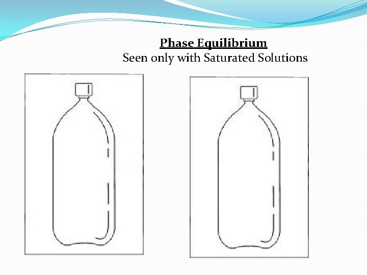 Phase Equilibrium Seen only with Saturated Solutions 